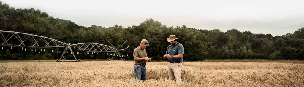两个农民站在灌溉系统前的田地里