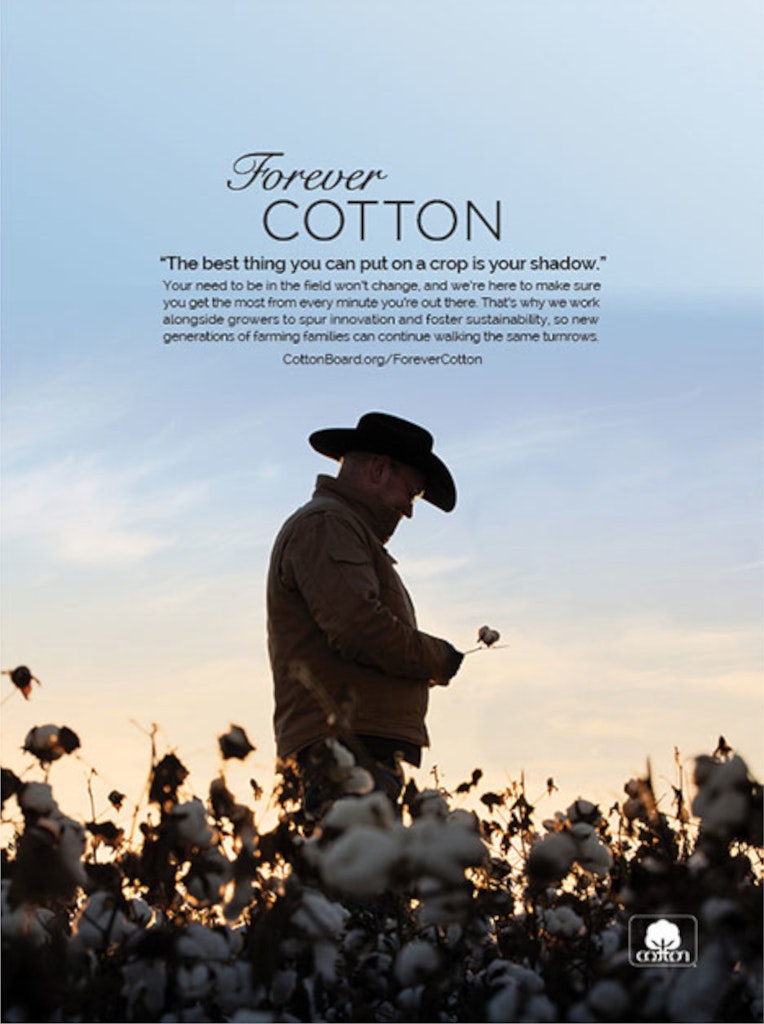Forever Cotton advertisement developed by Archer Malmo