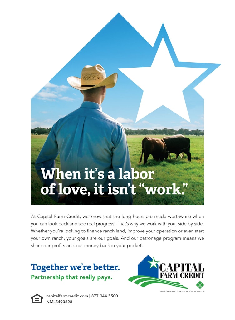 Capital Farm Credit print ad with a rancher and cattle featured