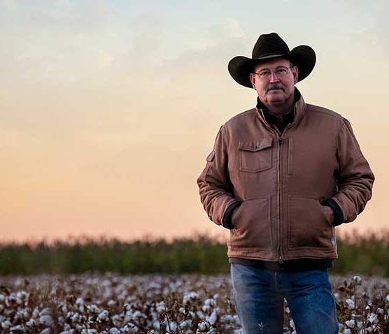 Cotton farmer standing in a cotton field