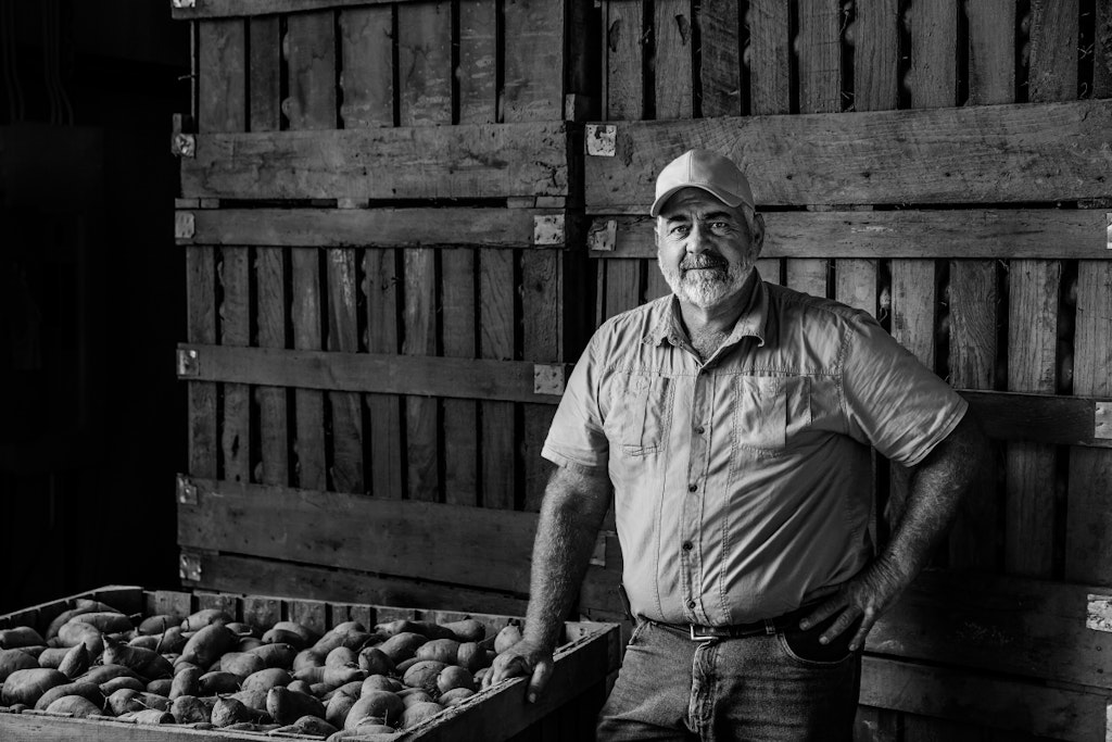 Farmer standing next to a large container of potatoes